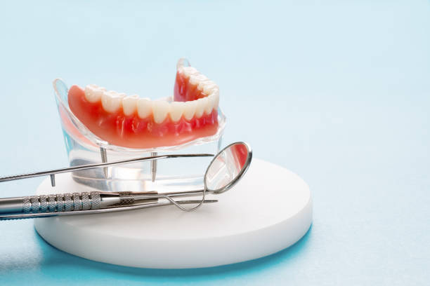 Best Dental Exams and Cleanings  in Lattingtown, NY